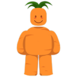 Carrot Noobie