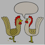 The Chickens are insane