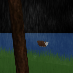 The Island