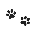 Paws Inc