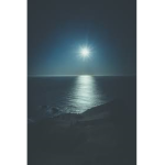 Moonlights Hotel's