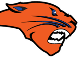 Gridiron Stadium / Cougars  *NEW*