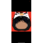 AllexFarted