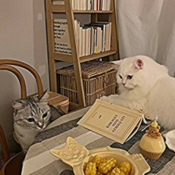 𝘆𝗼𝘀𝗵𝗶𝗻𝗼𝗿𝗶