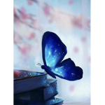 Les papillons d’Emma