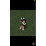 24xlexii