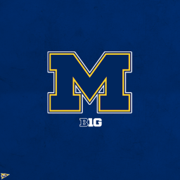 Michigan Stadium