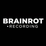 Brainrot Recording