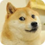 doge army and yt doge