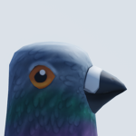 The Pigeon Association