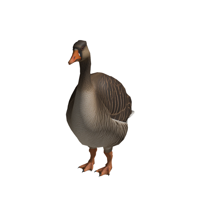 Goose 