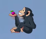 Monkeys Unleashed