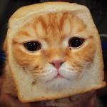 the bread cats by jack