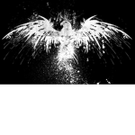 The Wingless Eagles