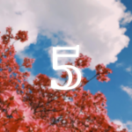 Forever 5 Clothing