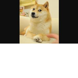Doge
