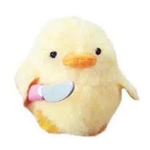 X DUCK X