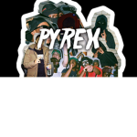 Pyrex Family