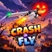 Crash or Fly icon
