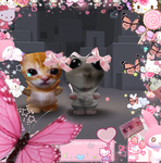 The hamster chill group