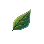 Leavying’s Leaf
