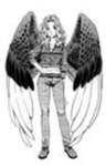 Maximum Ride Most Amazing Teenager Ever Fan Club