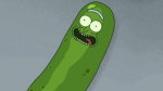 pickle or turkısh
