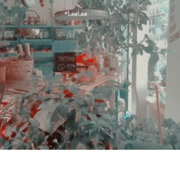 Red Rose home-store