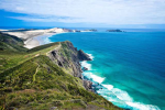 ~*New zealand kiwi group*~