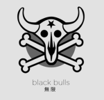 The Midnight Bulls