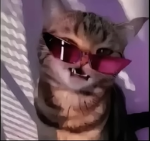 Kat12908