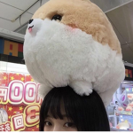 ʚ usagi