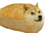 True doge fans