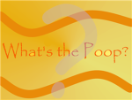 The Poop Group Thumbnail
