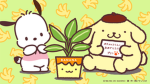 pompompurin and pochaco group