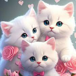 Cat republic of all cats