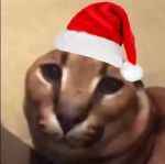 Officical Floppa Gang