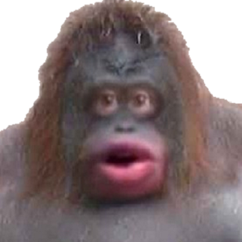 Monke Game