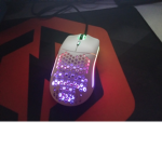 Mice rainbow