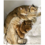 Besties forever always together