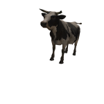 Friend Cow :)