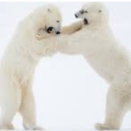 The polar wrestling Area