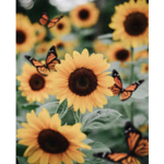Amazinqsunflowers