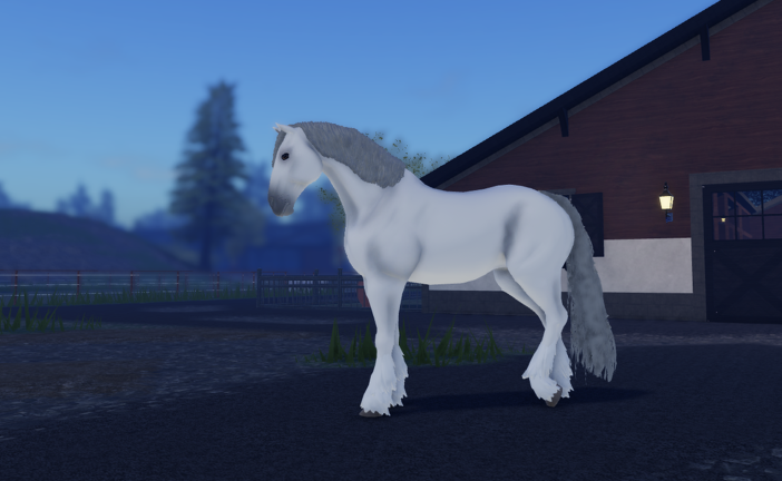Shires released 🐴