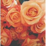 "!Flower!"