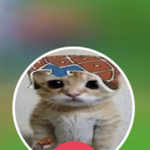 Котек
