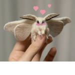 A Family Of Moths