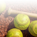 ~SOFTBALL~LOVERS~