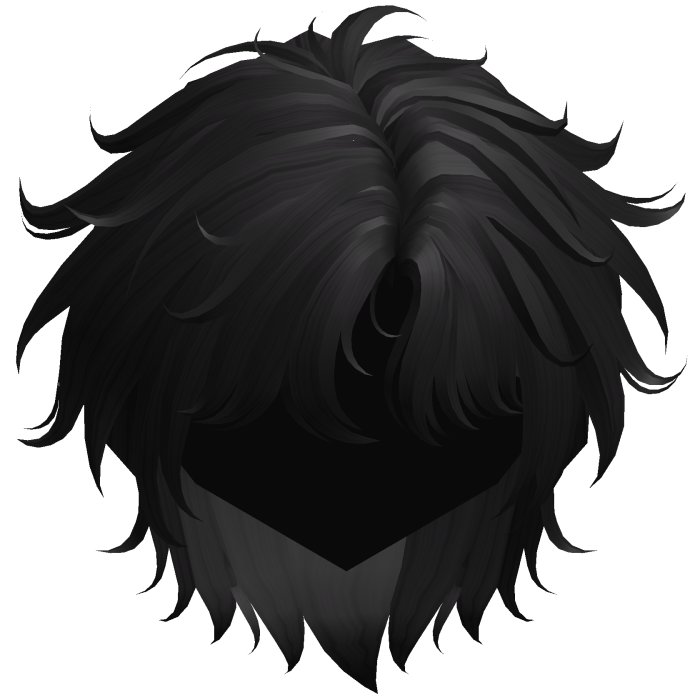 Black Fluffy Messy Korean Idol Hair