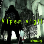 Viper vigil